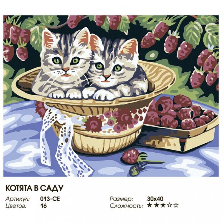 Картина по номерам «Котята в саду» — картинка 2