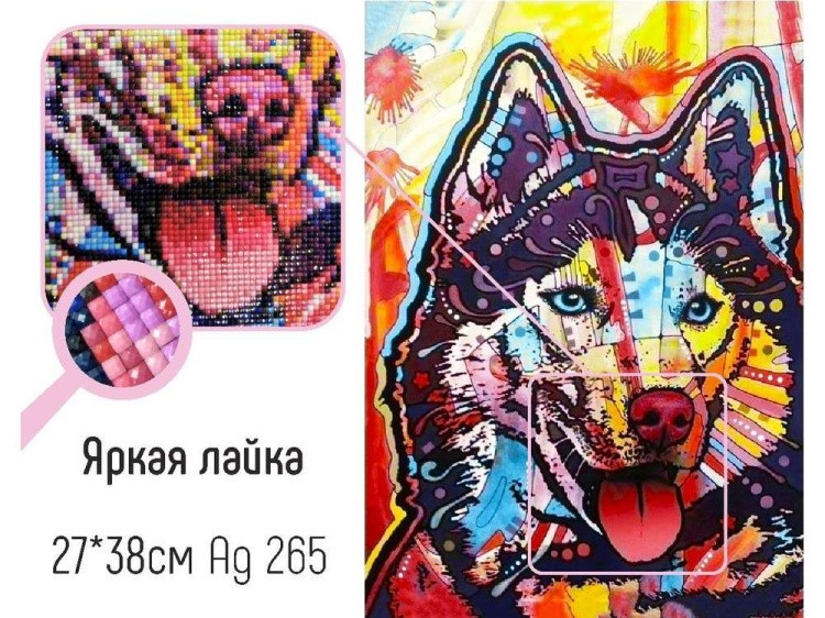 Алмазная вышивка «Яркая лайка» — картинка 2