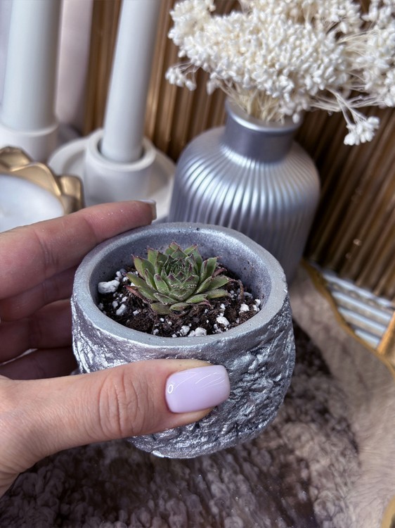 Силиконовый молд - Кашпо под камень №2, d8,5 см, 1 шт. — картинка 5