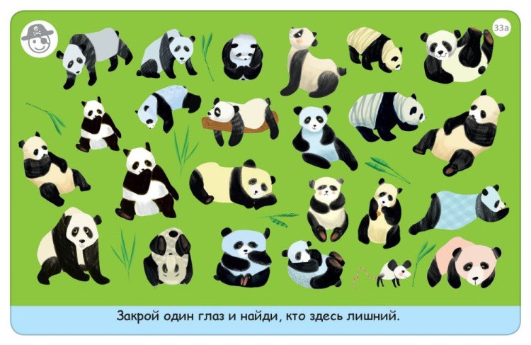 Асборн-карточки «Тренируем зрение» — картинка 5