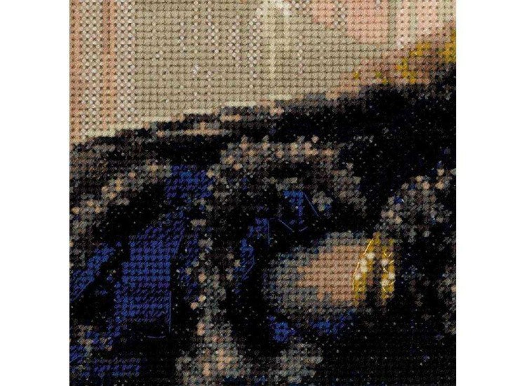 Набор для вышивания «Неизвестная» — картинка 3