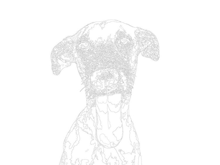 Картина по номерам «Кинзи» — картинка 3