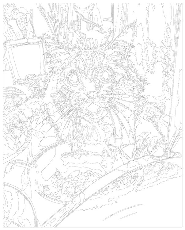 Картина по номерам «Шокированный кот на кухне 2» — картинка 3