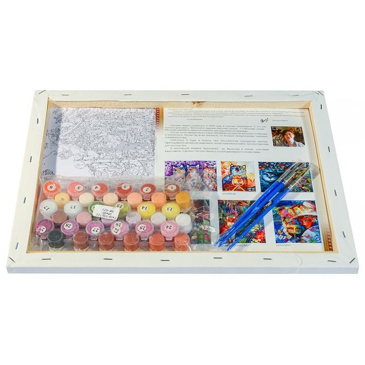 Картина по номерам «Сова с ключиком» — картинка 3