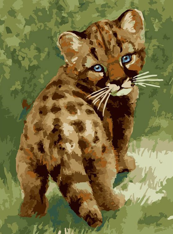 Картина по номерам «Детеныш леопарда»