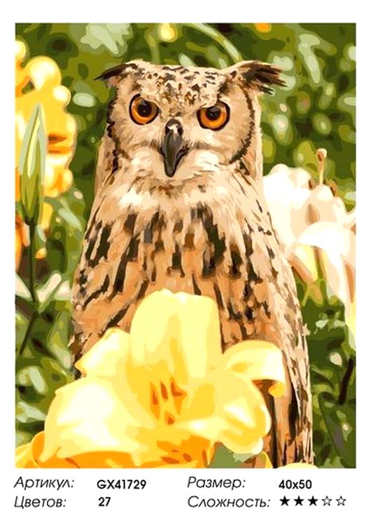 Картина по номерам «Сердитый филин» — картинка 2