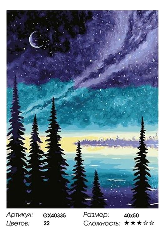 Картина по номерам «Ночное небо» — картинка 2