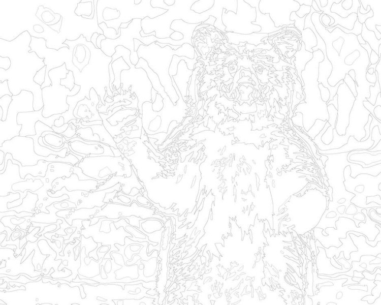 Картина по номерам «Бурый медведь» — картинка 3