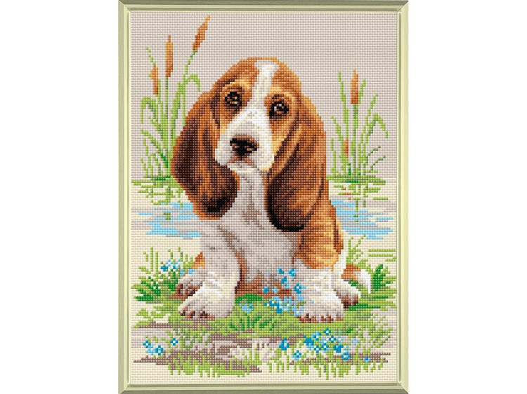 Алмазная вышивка «Малыш бассет» — картинка 2