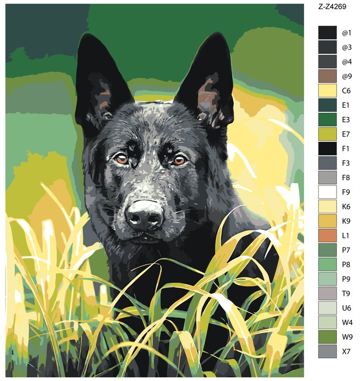 Картина по номерам «Черная немецкая овчарка» — картинка 2