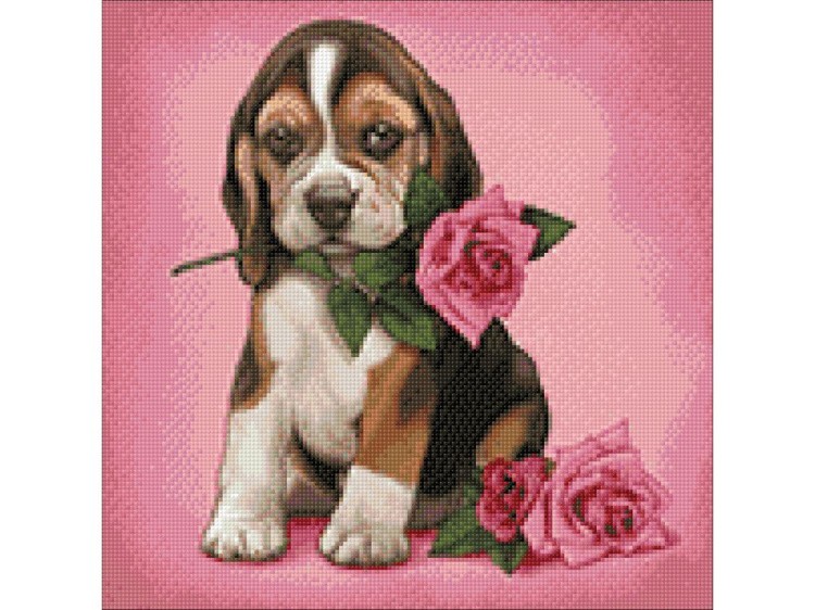 Алмазная вышивка «Романтичный друг» — картинка 2