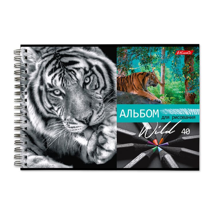 Альбом для рисования «Саванна», 100 г/м2, A4, на гребне, 6 альбомов по 40 л., SVETOCH — картинка 3