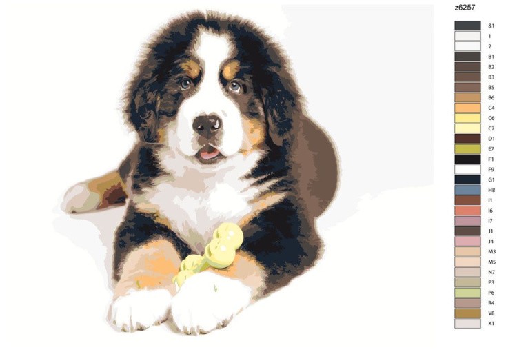 Картина по номерам «Верный пес» — картинка 2