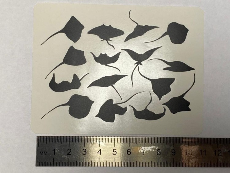 №903 Наклейка Скат (Черные) Sticker, Art Blong — картинка 3