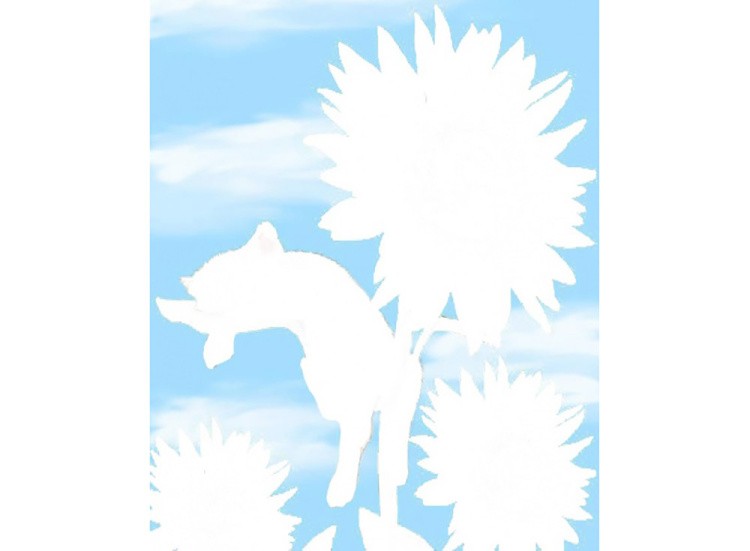 Алмазная вышивка «Соня» — картинка 2