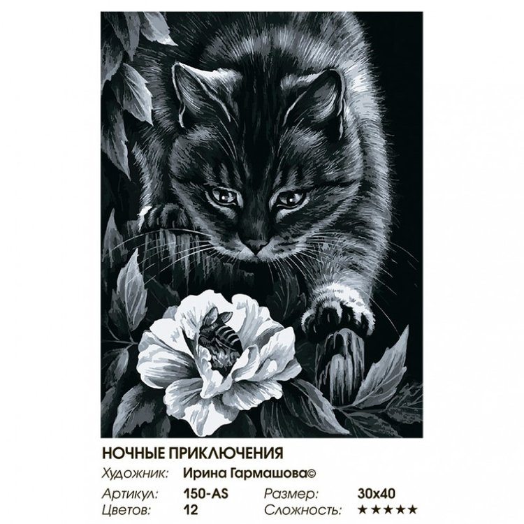 Картина по номерам «Ночные приключения» — картинка 2