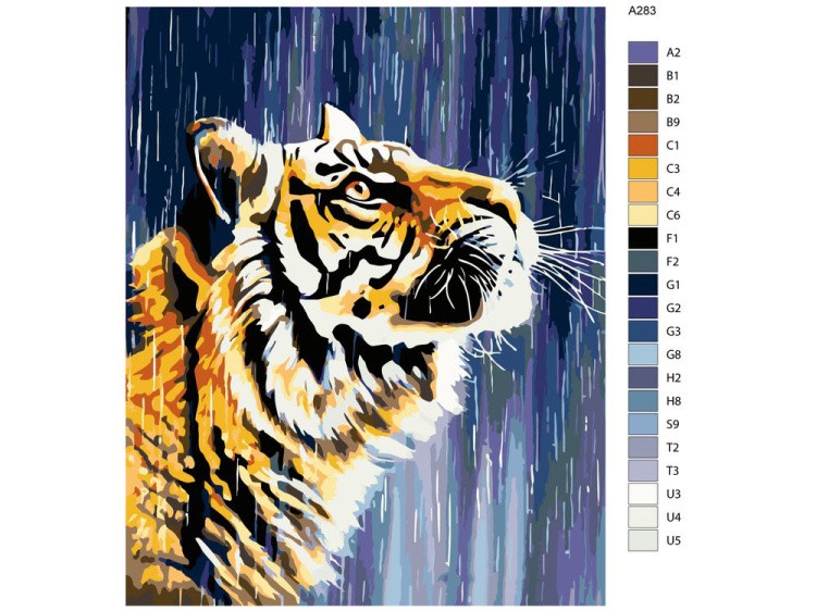 Картина по номерам «Тигр под дождем» — картинка 2