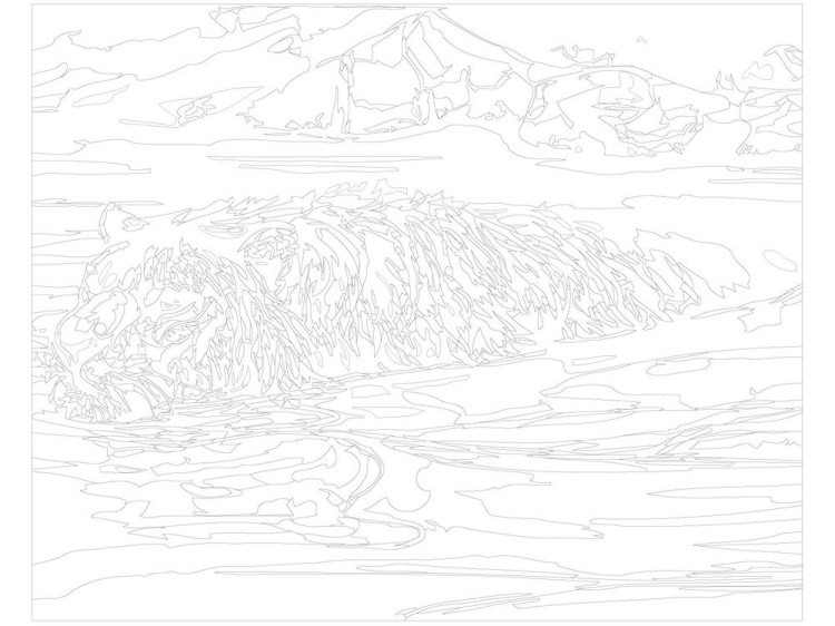 Картина по номерам «Плывущий тигр» — картинка 3