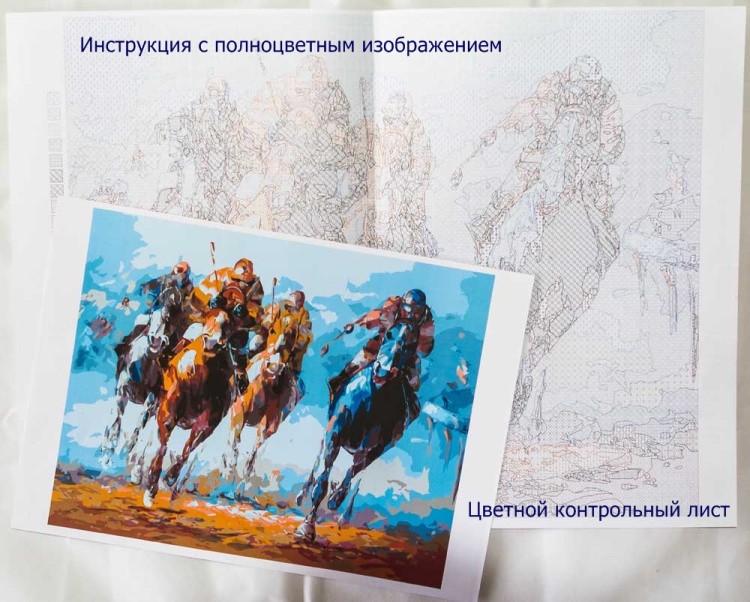 Картина по номерам «Радужная обезьяна» — картинка 4