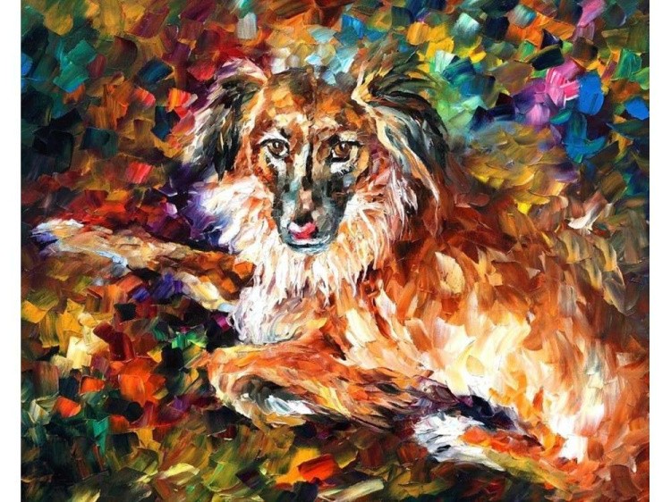 Алмазная картина-раскраска «Породистый пес»