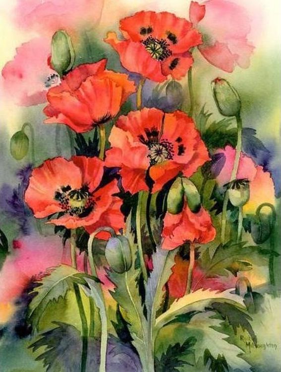 Картина по номерам «Цветущий мак» — картинка 2