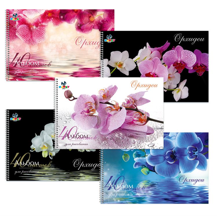 Альбом для рисования «Орхидеи» А4, 21х29 см, на спирали, 40 л., KANZY — картинка 2