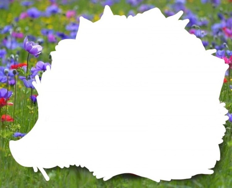 Алмазная вышивка «Розовый еж» — картинка 2