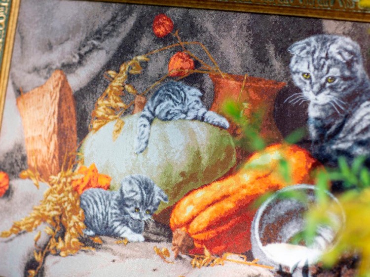 Набор для вышивания «Тёплое местечко» — картинка 3