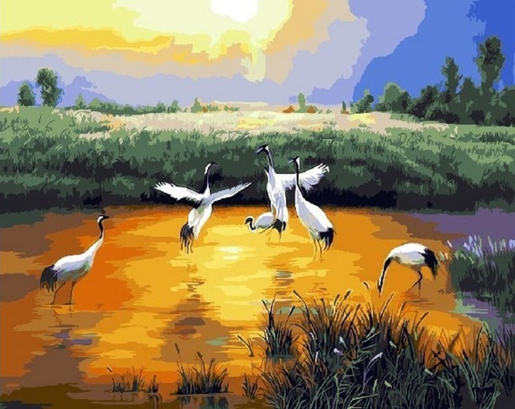 Картина по номерам «Птицы на озере»
