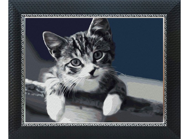 Картина по номерам «Серая нежность» — картинка 2