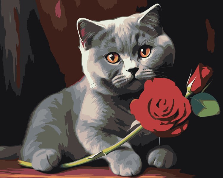 Картина по номерам «Британский котенок с красной розой»