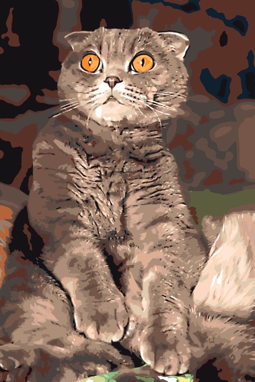 Картина по номерам «Удивленный кот»