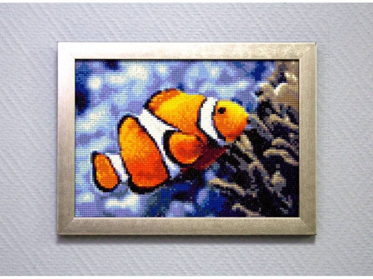 Алмазная вышивка «Рыбка-клоун» — картинка 3