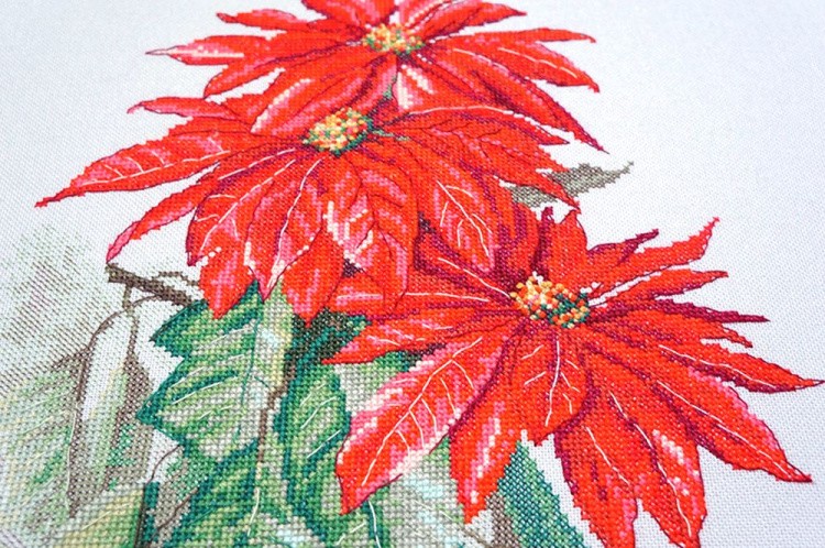 Набор для вышивания «Пуансеттия» — картинка 2