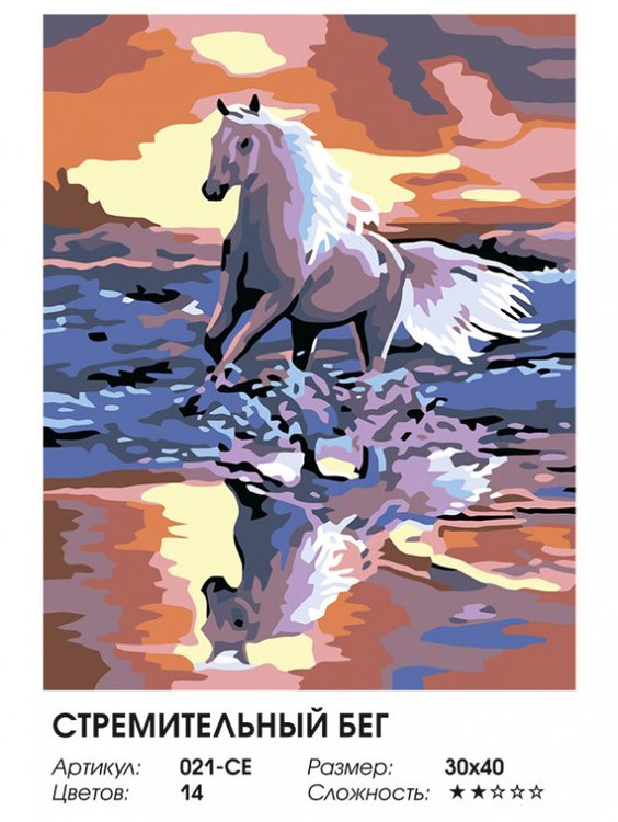 Картина по номерам «Стремительный бег» — картинка 2