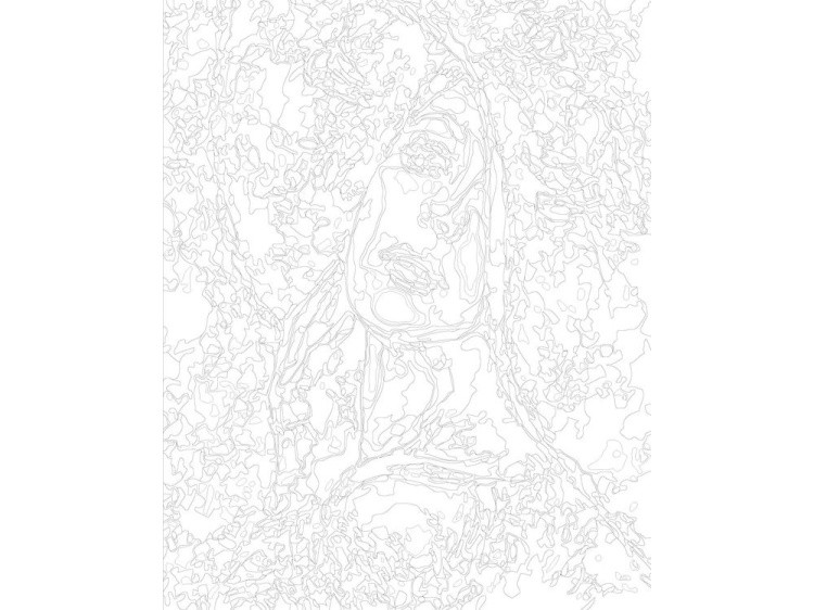 Картина по номерам «Портрет незнакомки» — картинка 3