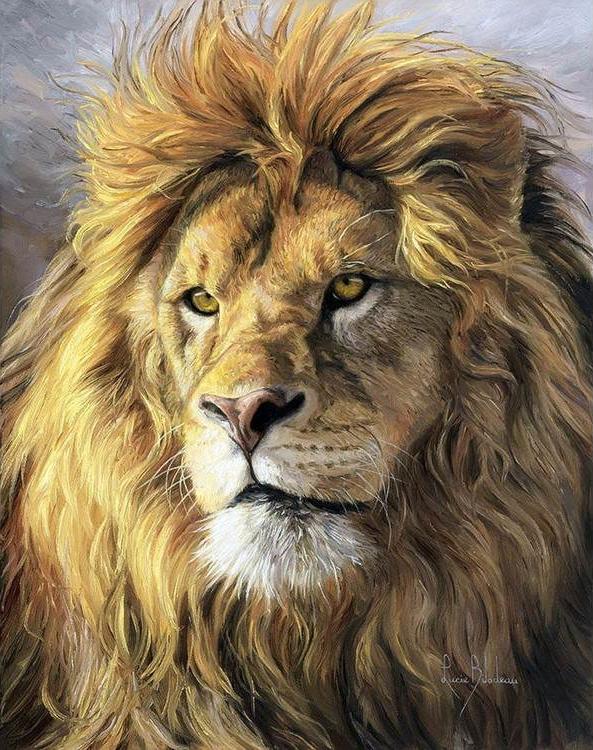 Алмазная вышивка «Африканский лев»