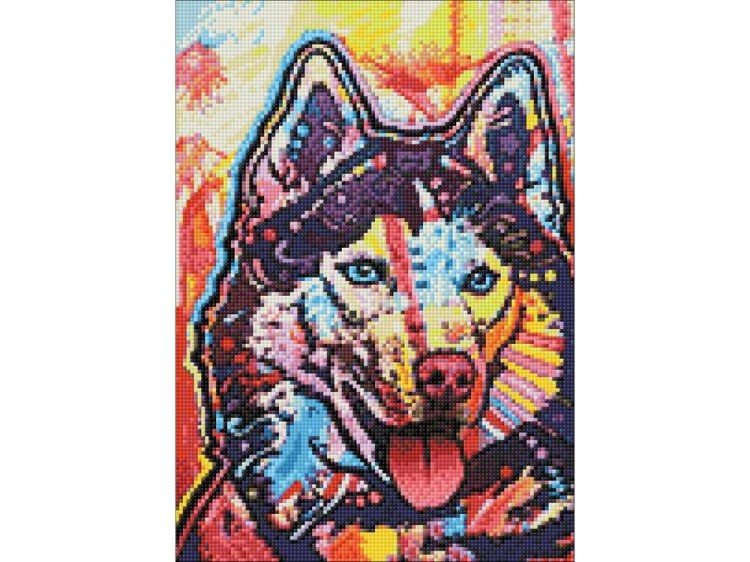 Алмазная вышивка «Яркая лайка» — картинка 3