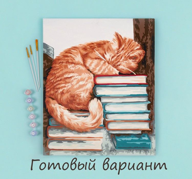 Картина по номерам «Мудрый кот» — картинка 2