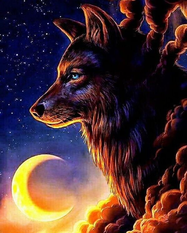 Алмазная вышивка «Ночной волк» — картинка 2