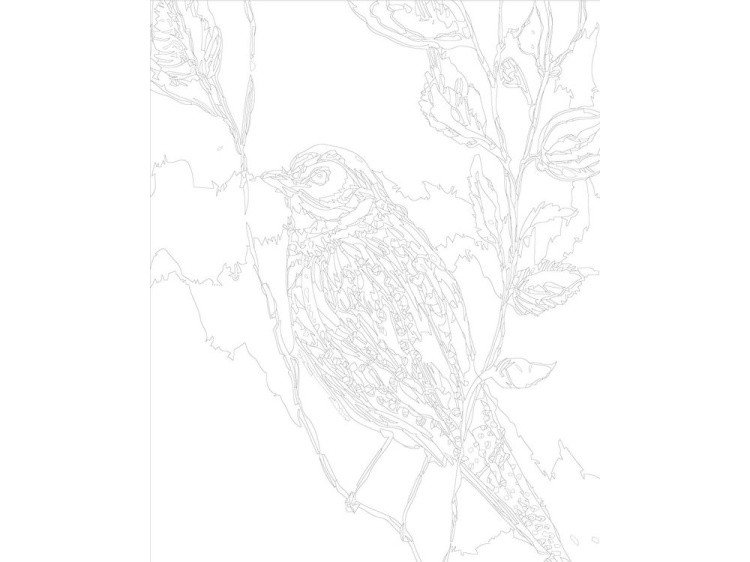 Картина по номерам «Весенняя птица» — картинка 3