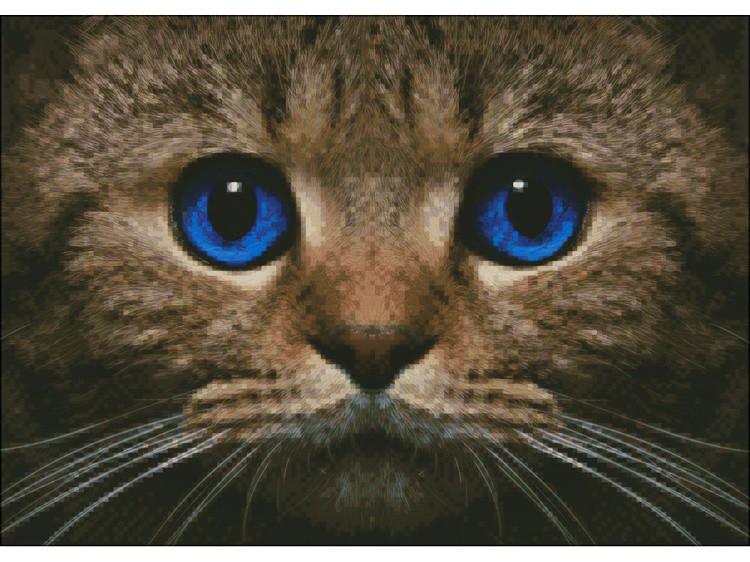 Алмазная вышивка «Синеглазый кот» — картинка 2