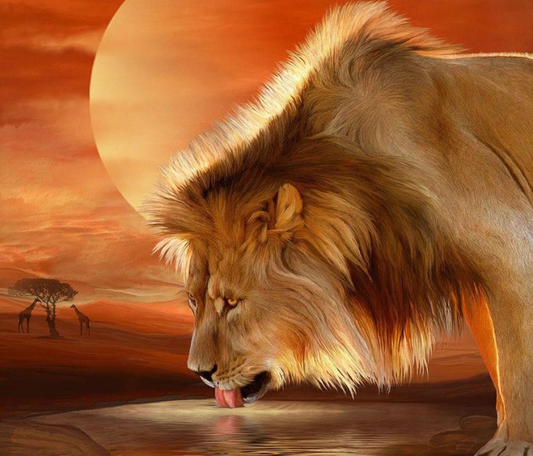 Алмазная вышивка «Лев на водопое» — картинка 2