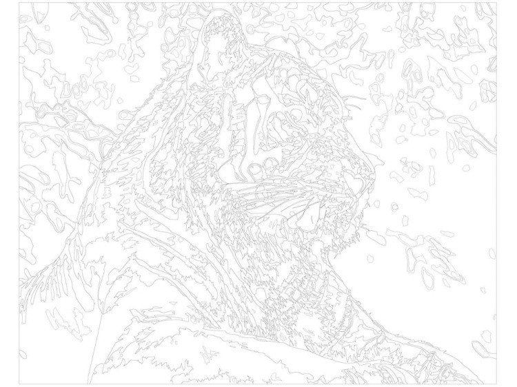 Картина по номерам «Тигр» — картинка 3