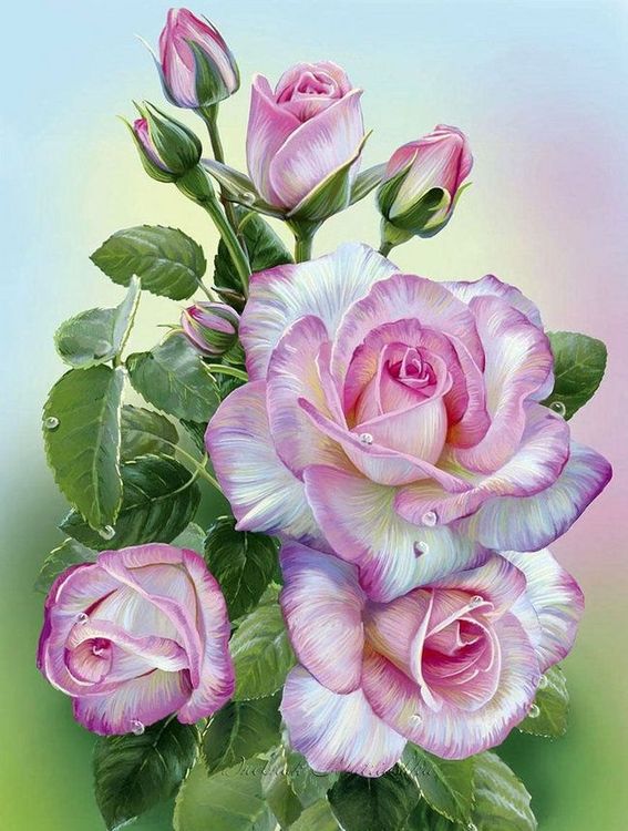 Картина по номерам «Розовые розы» — картинка 2