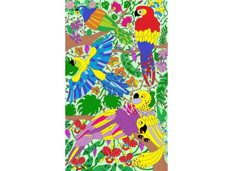 Плакат-раскраска «Попугаи» — картинка 3