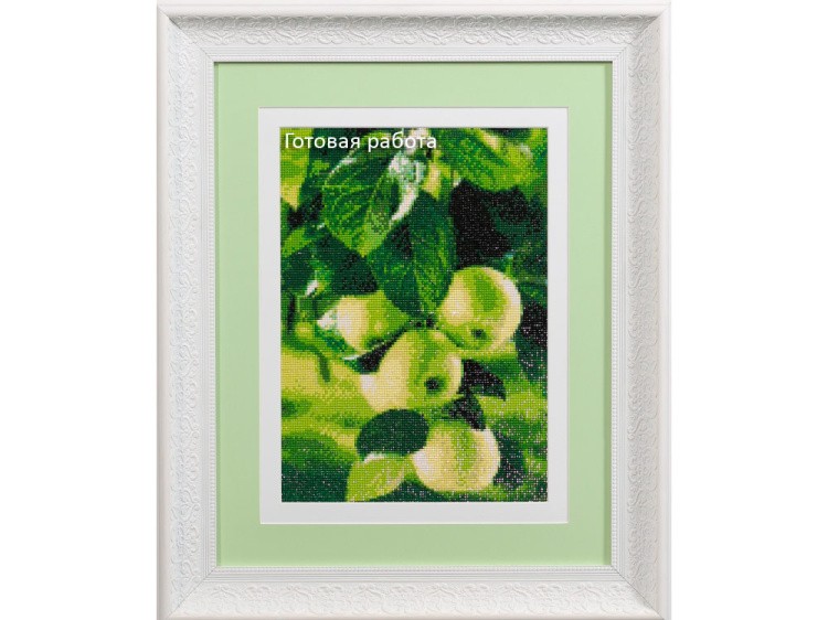 Алмазная вышивка «Зеленые яблоки» — картинка 3