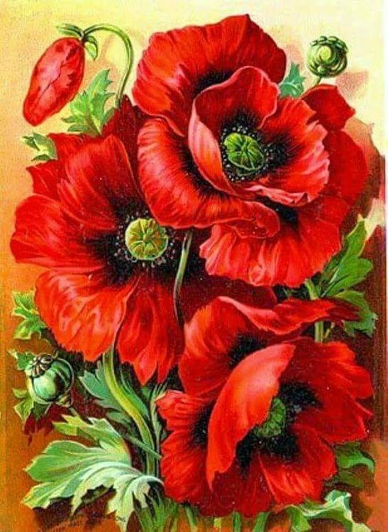 Картина по номерам «Букет маков» — картинка 2