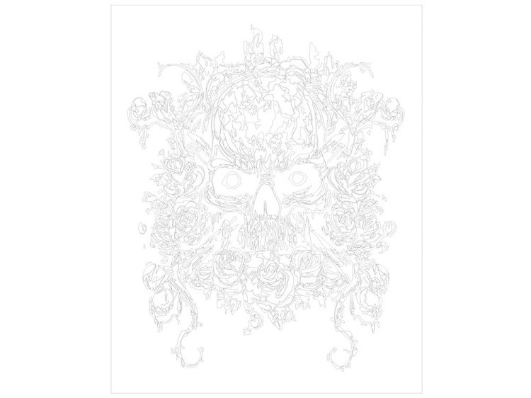 Картина по номерам «Череп и розы» — картинка 3