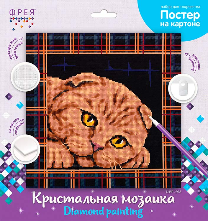 Алмазная вышивка «Постер. Шотландская кошка» — картинка 2